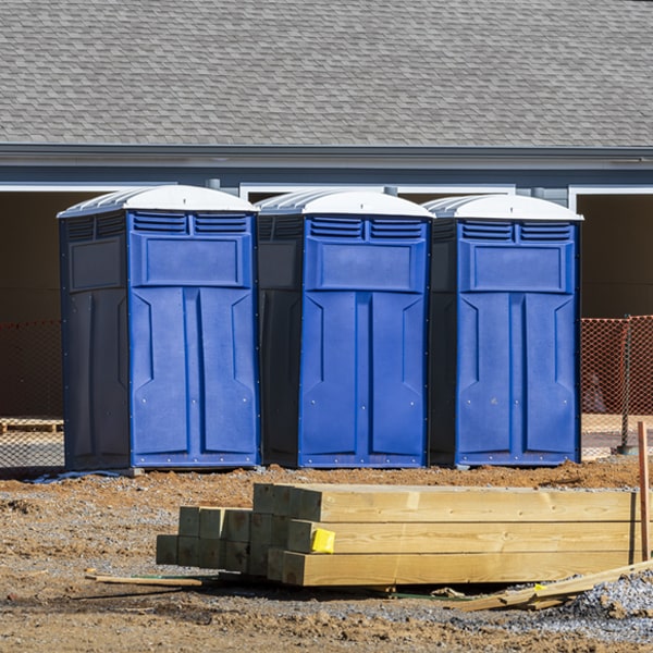 how can i report damages or issues with the porta potties during my rental period in Dogtown